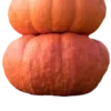 Emoji 096