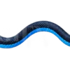 Emoji 007