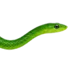 Emoji 012