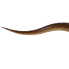 Emoji 013
