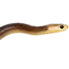 Emoji 016