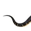 Emoji 017