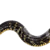Emoji 018