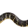 Emoji 019