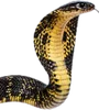 Emoji 020