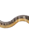Emoji 027