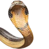 Emoji 028