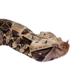 Emoji 032