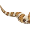 Emoji 045