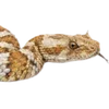 Emoji 048
