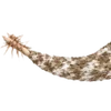 Эмодзи 053