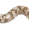 Emoji 055