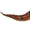 Emoji 057
