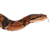 Emoji 060