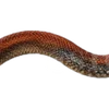 Эмодзи 078