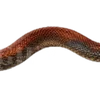Эмодзи 079