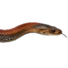 Emoji 080