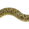 Эмодзи 082