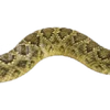 Emoji 083