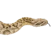 Эмодзи 088