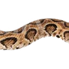 Emoji 091