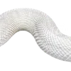 Emoji 102