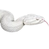 Эмодзи 104
