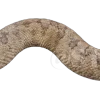 Эмодзи 106