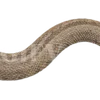 Эмодзи 111