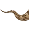 Эмодзи 113