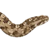 Эмодзи 116