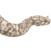Эмодзи 120