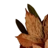 Эмодзи 041