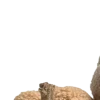 Emoji 043