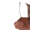 Эмодзи 100