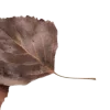 Эмодзи 101