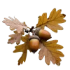 Эмодзи 162