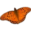 Эмодзи 174