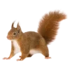 Эмодзи 176