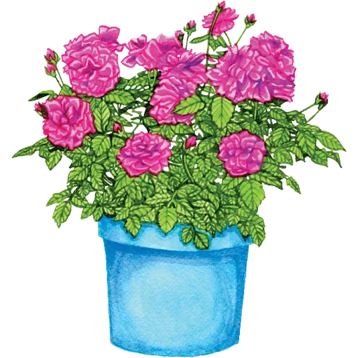 Sticker 030