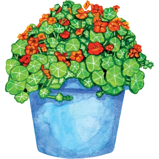 Sticker 037