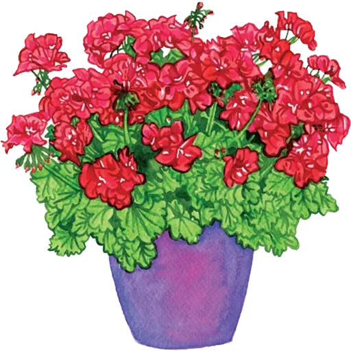 Sticker 038