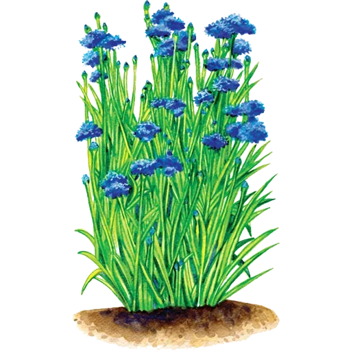 Стикер 042