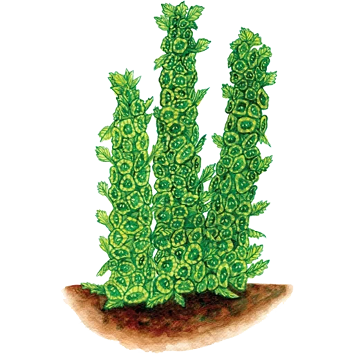 Sticker 043
