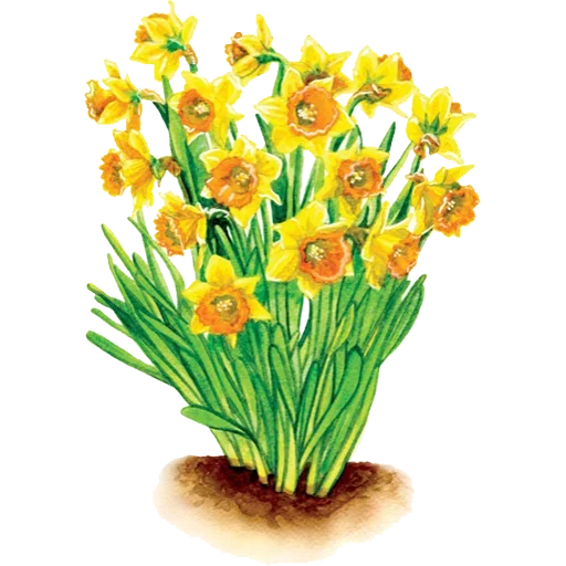 Sticker 047
