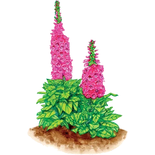 Стикер 050