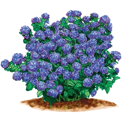 Стикер 052