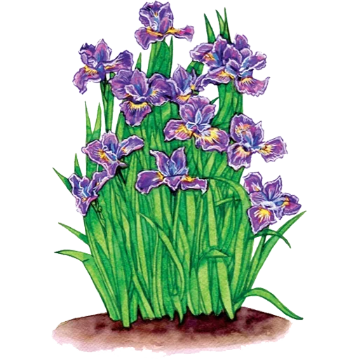Sticker 053