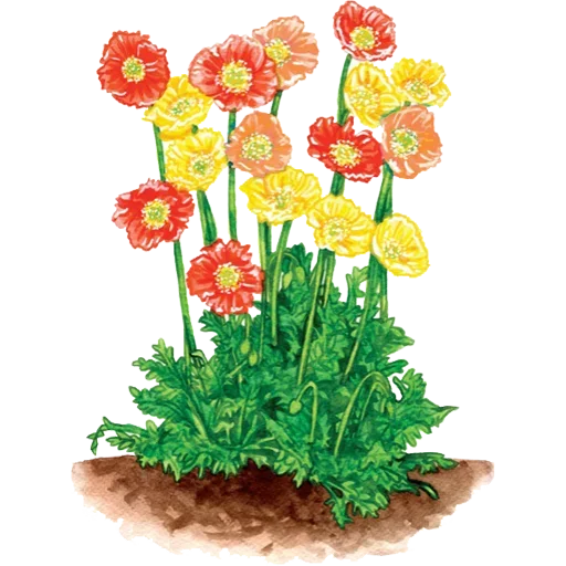 Sticker 054