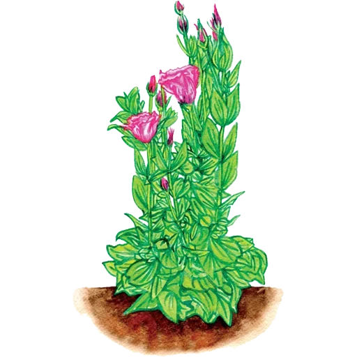 Стикер 058